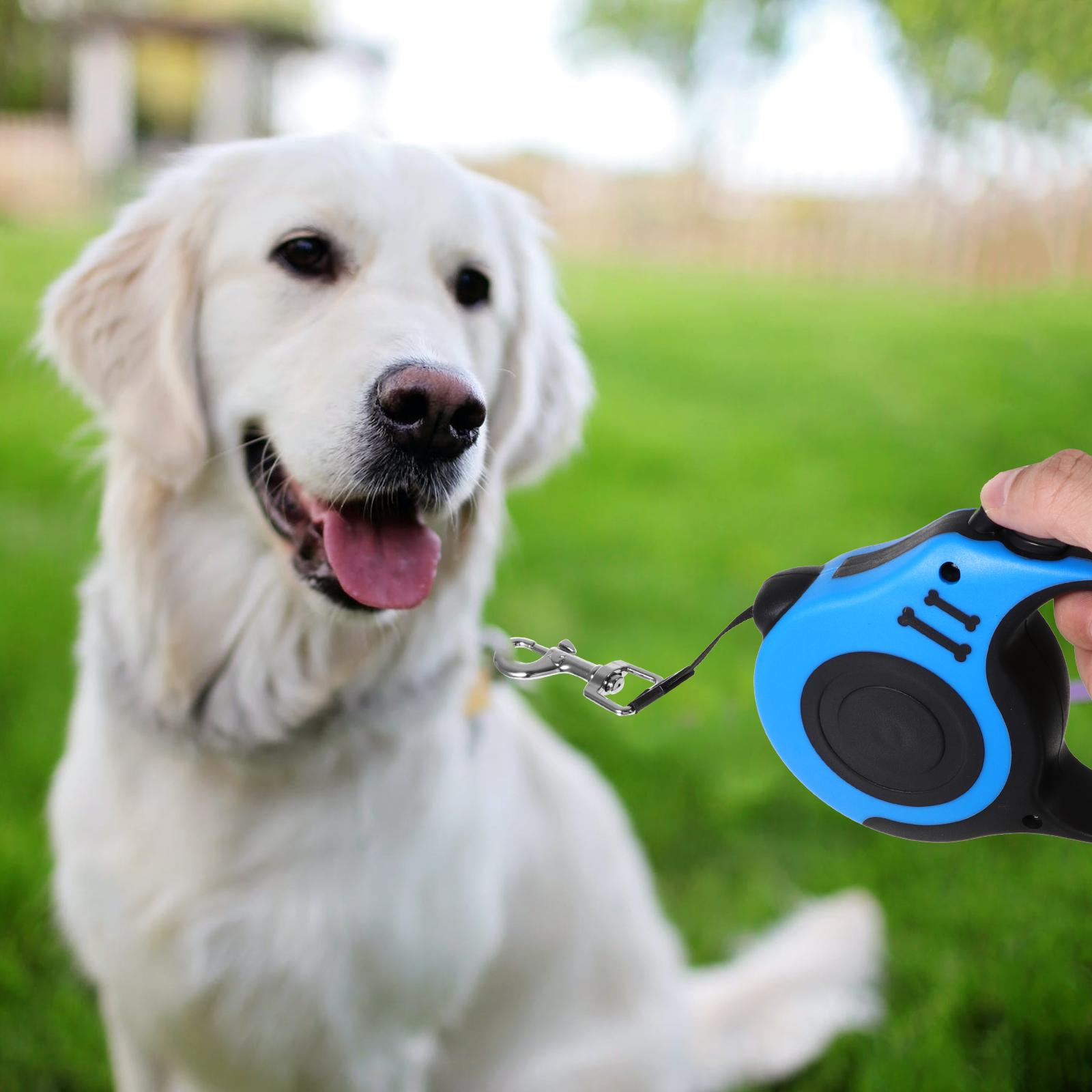 Simple Ways to Keep Your Pet Happy