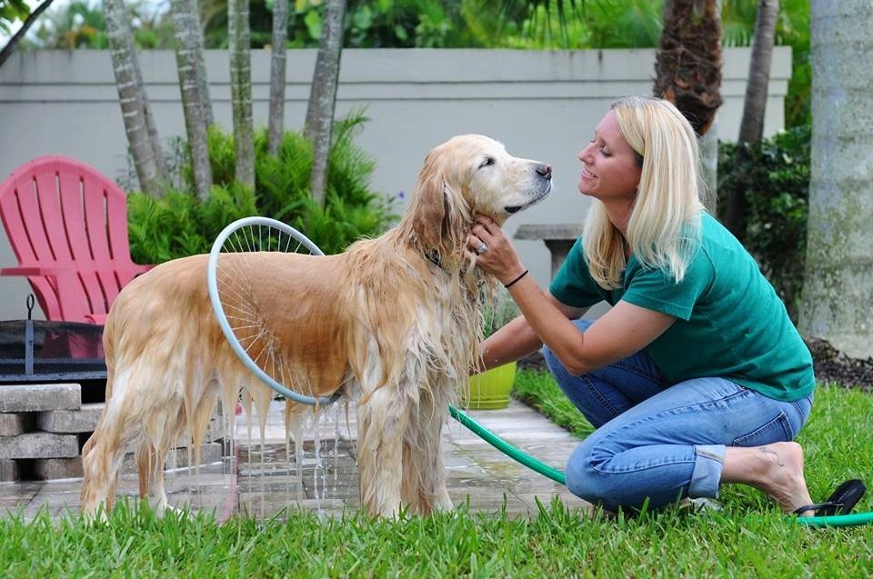Dog Shower Bathing Ring with Circular Water