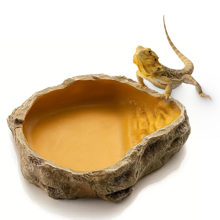 Freshinsects Reptile Water DishResin Reptile Rock Food Feeder Bowl Water and Foo