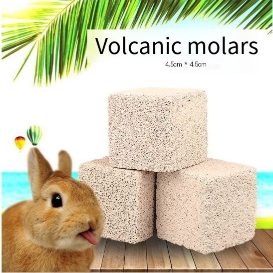 Large Calcium Supplement for Small Pets (Hamsters, Chinchillas)